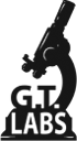 GT Labs logo